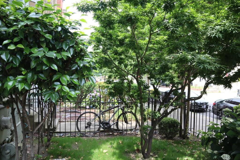 3-Bedroom House With Cute Patio Explore Dc On Foot Вашингтон Экстерьер фото